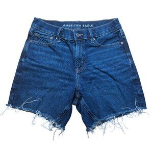 American Eagle Womens Strigid Denim High-Rise Relaxed Shorts Size 0